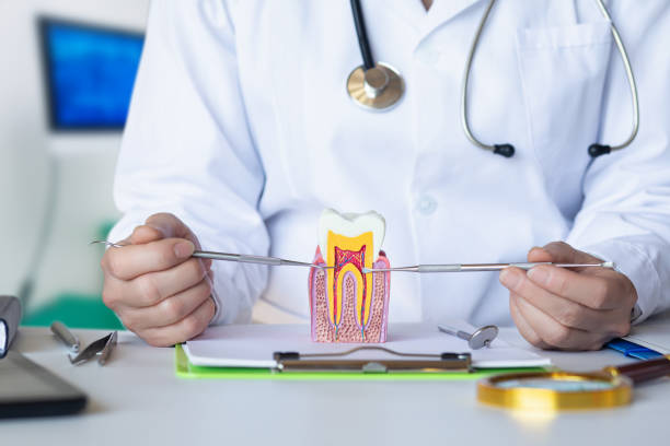 Best Same-Day Emergency Dental Services in Delshire, OH